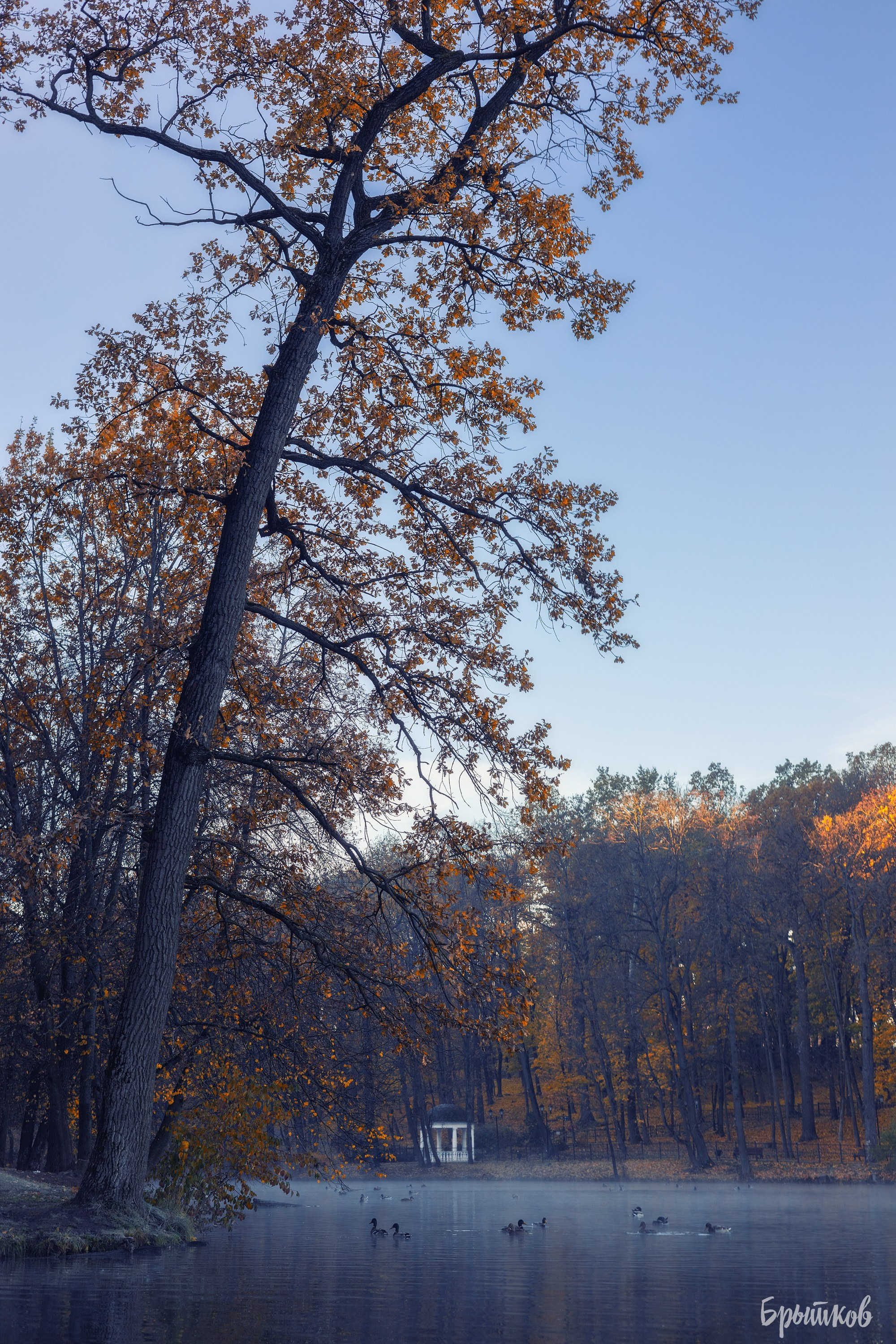 Платовский парк. Николай Брытков — фотограф в Туле