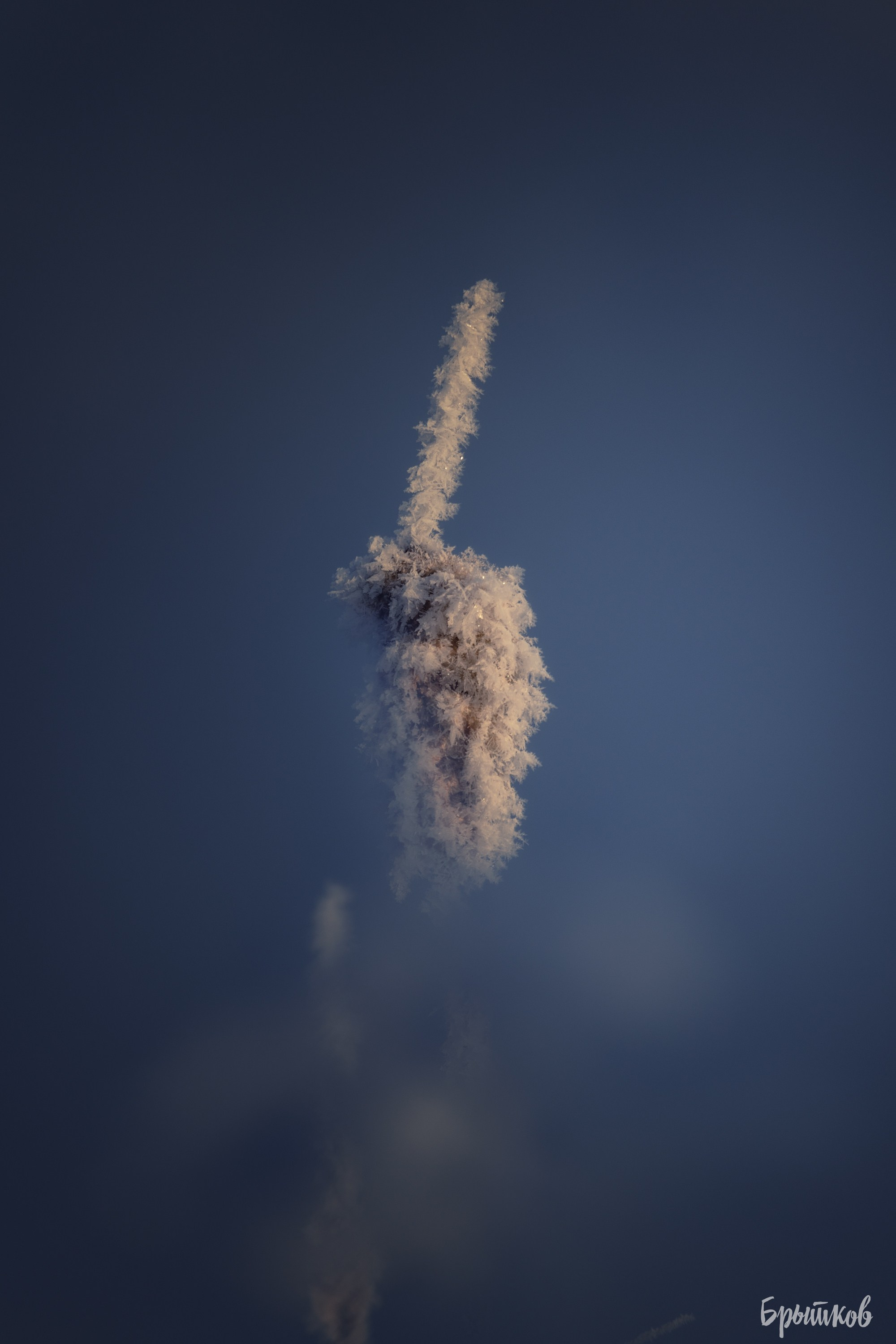 Горячка — хрустальное царство. Николай Брытков — фотограф в Туле