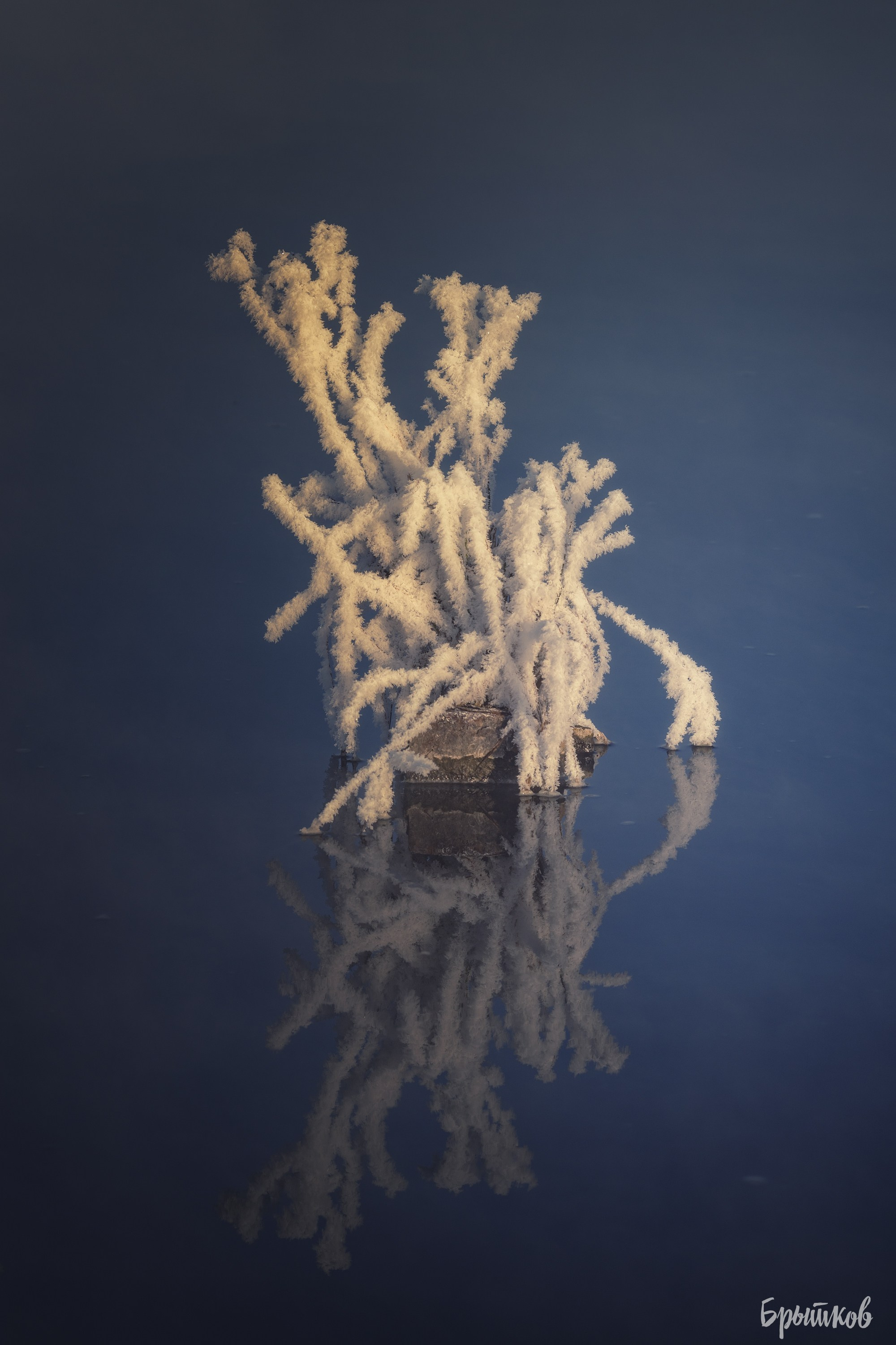 Горячка — хрустальное царство. Николай Брытков — фотограф в Туле