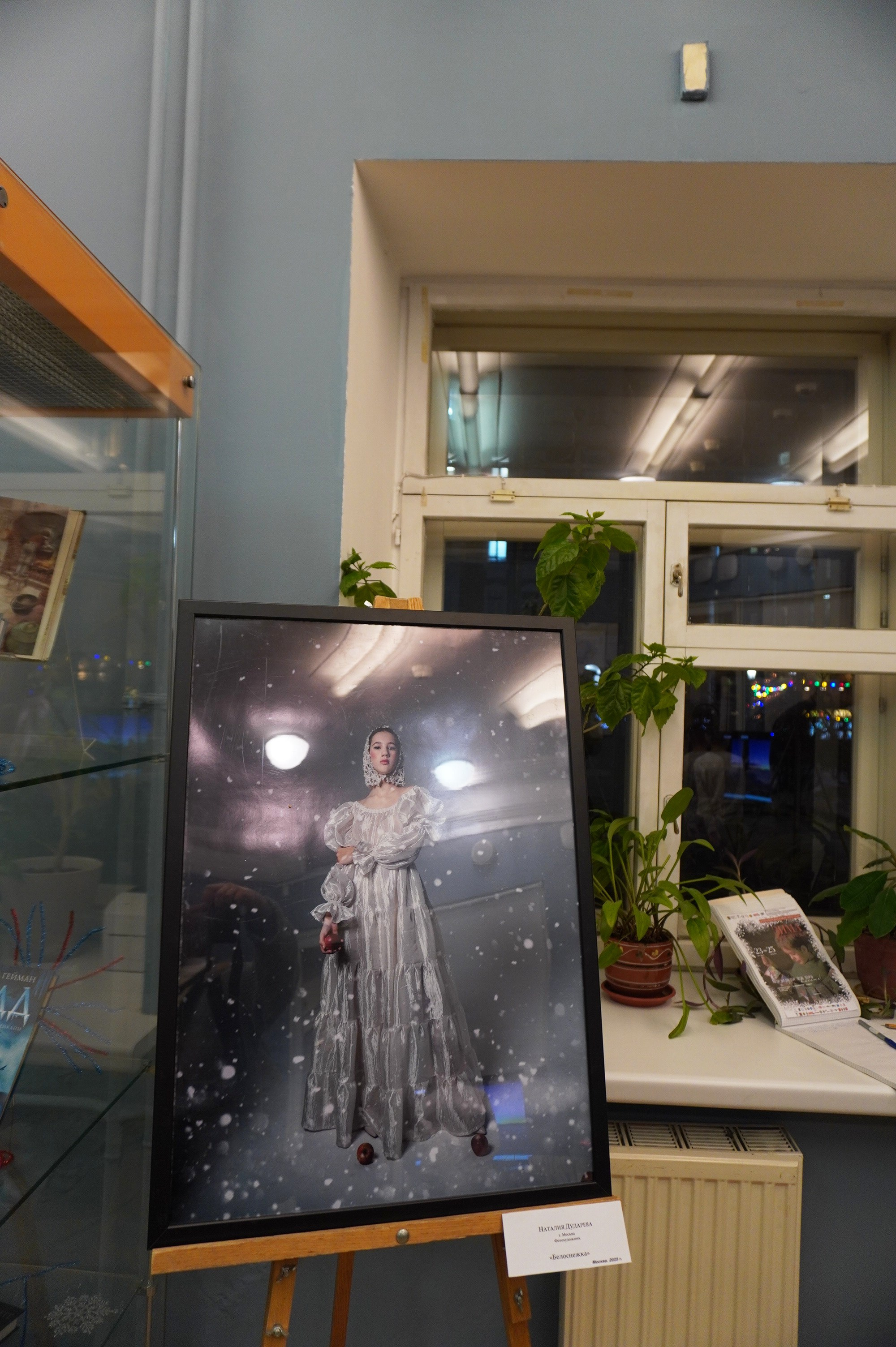 Выставка Зима перезагрузка. Дударева Наталия фотограф Москва