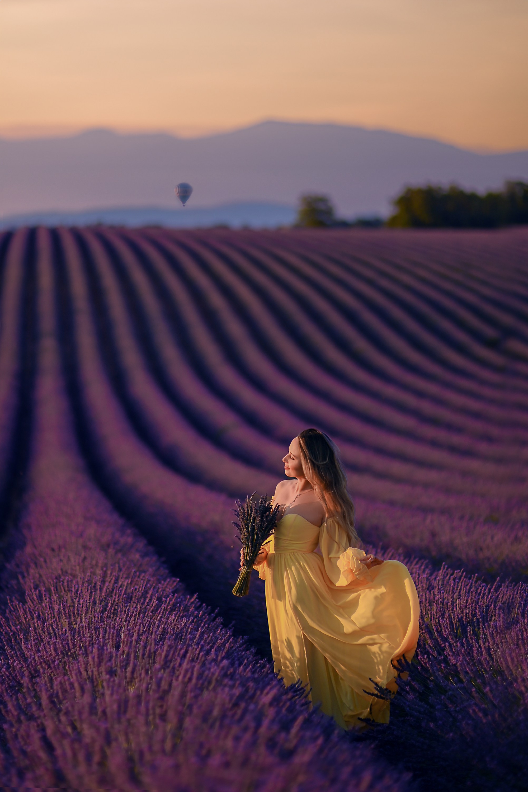 Séances photo dans les champs de lavande 2026. Photographer in Provence Julia Lipiainen