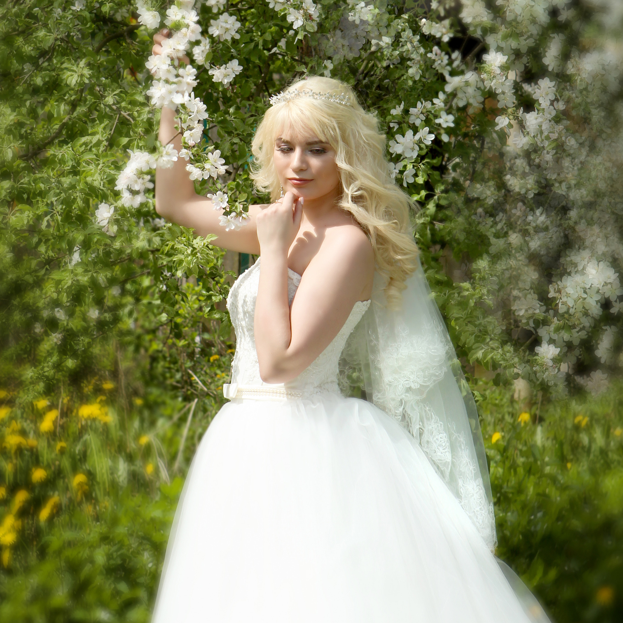 невеста держит цветущую ветку яблони