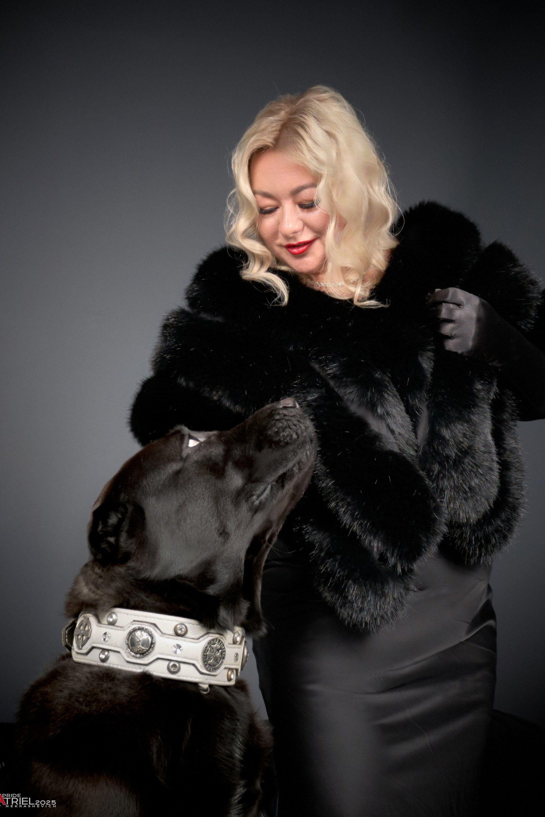 собаки в студии съемки фото с людьми