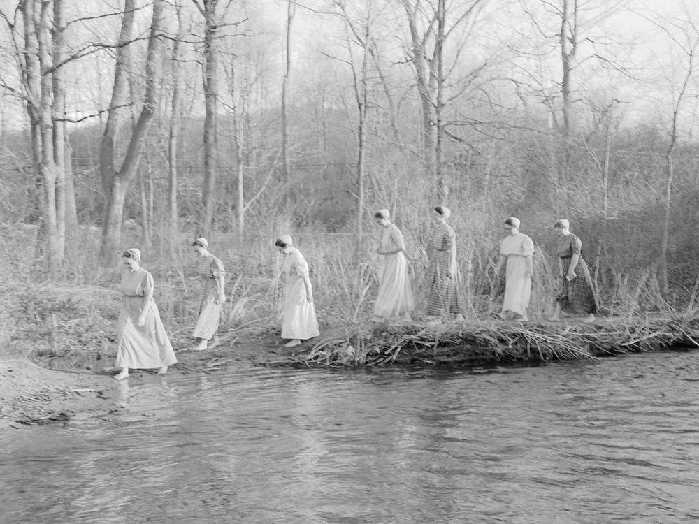 ФОТОКНИГА КАК ДИСЦИПЛИНА: (НЕ) СТРЕМИТЕЛЬНОЕ РАЗВИТИЕ. Самоорганизация Низина