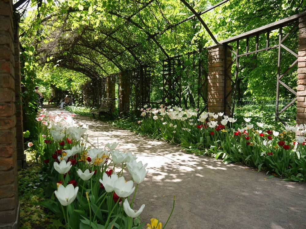ТОП-100 мест для фотосесии в Москве и МО. Женский фотограф в Москве Богдашкина Динара