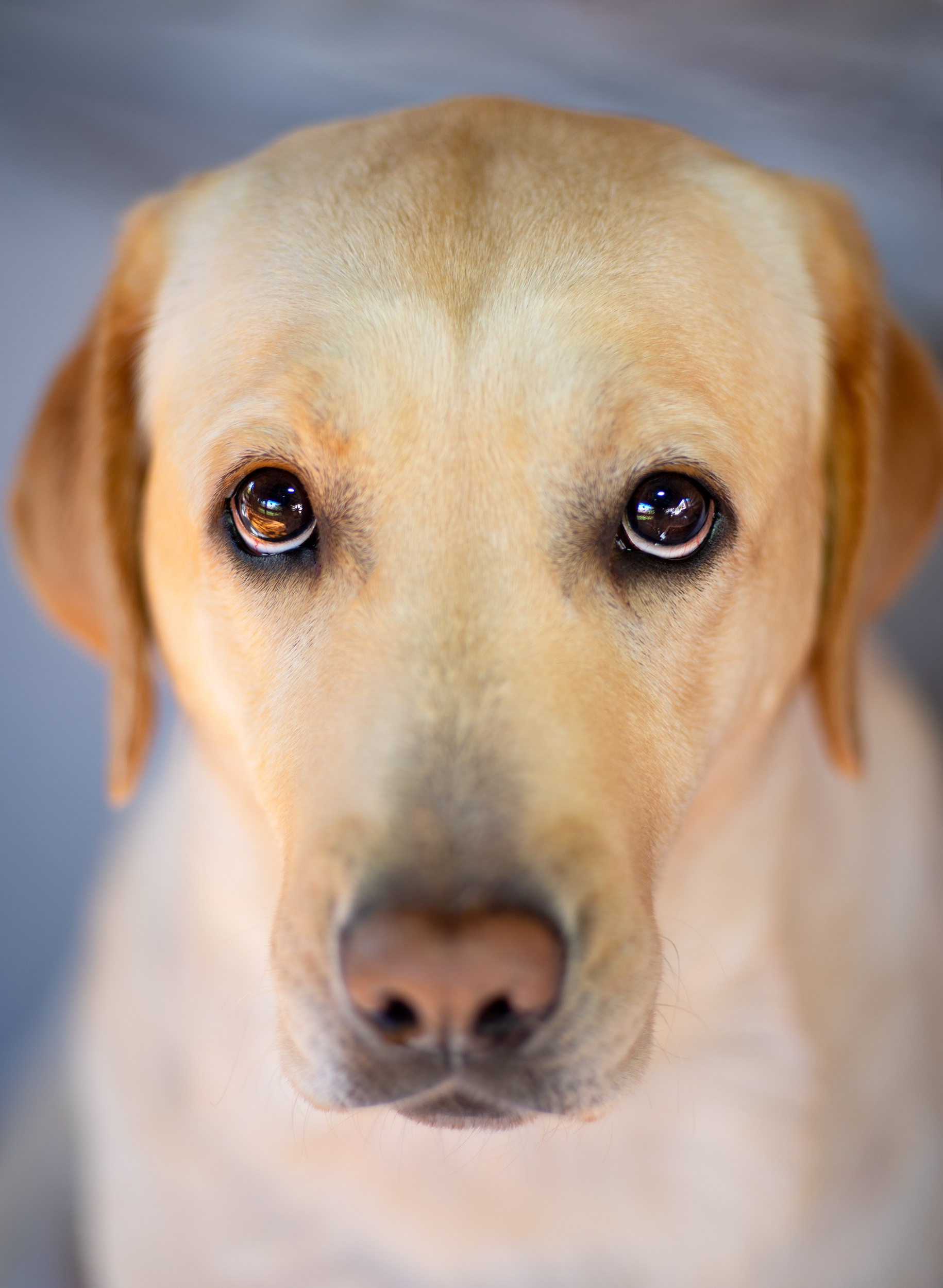 Фотограф Сергей Мосевнин