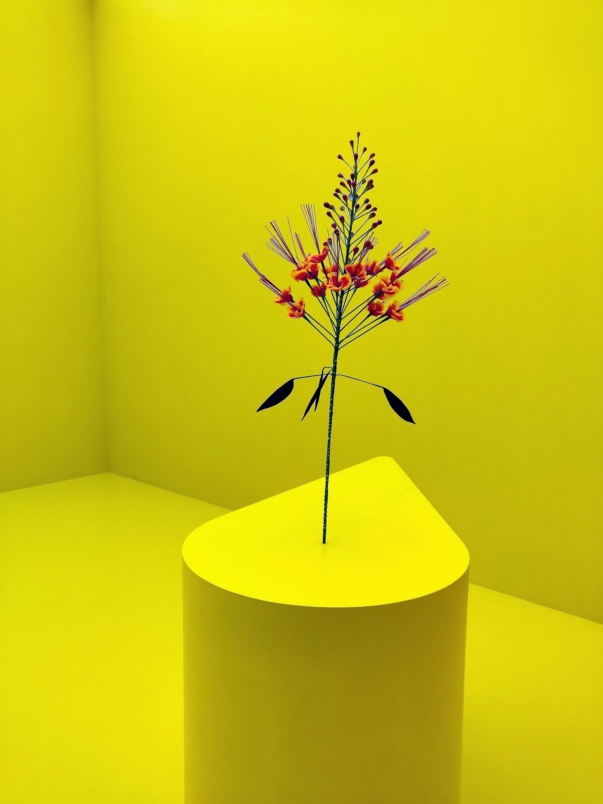 Современное искусство Европы в 2024 году: от интервенций до диалога