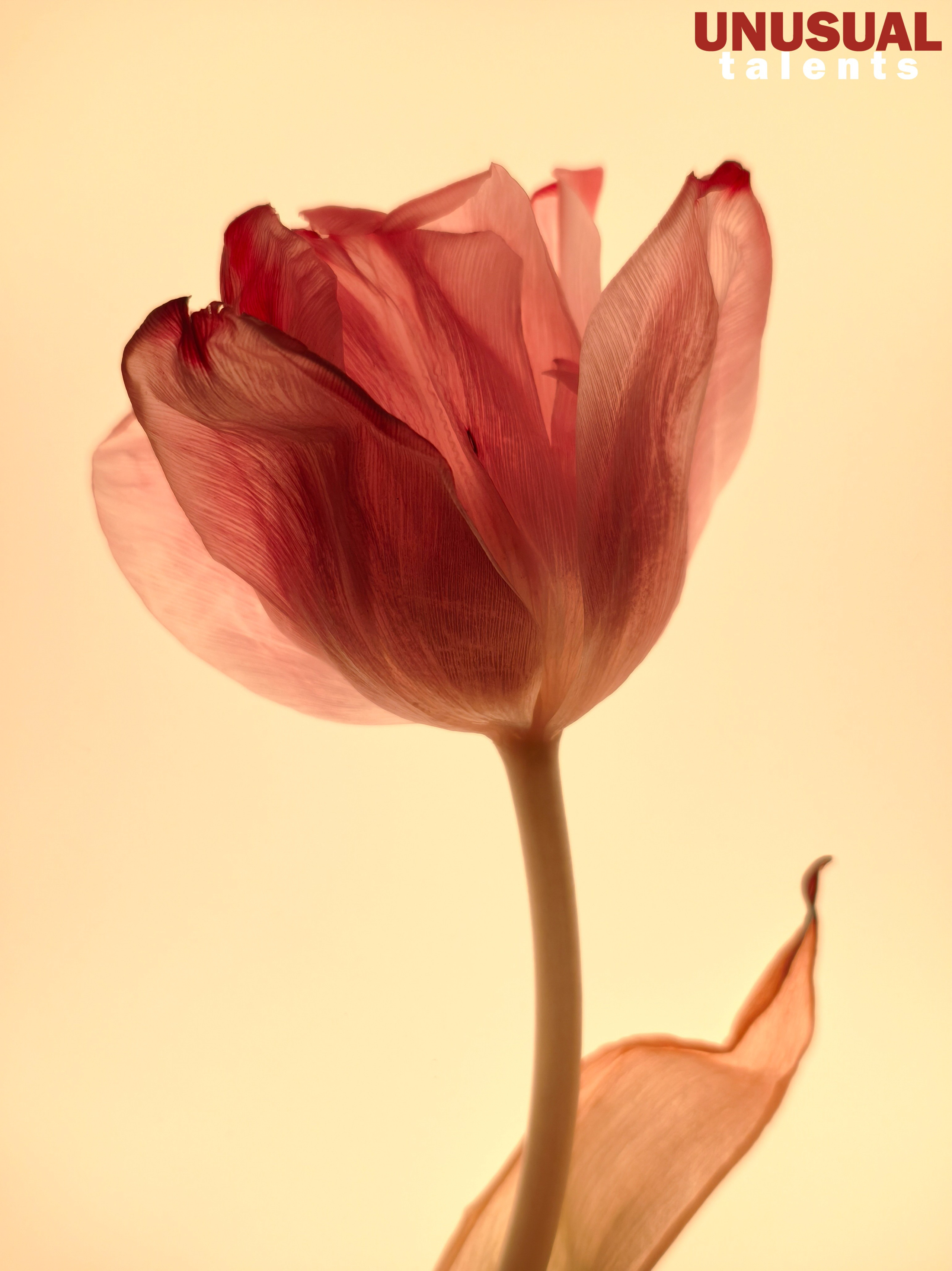 Irina Strokova. UNUSUAL TALENT magazine