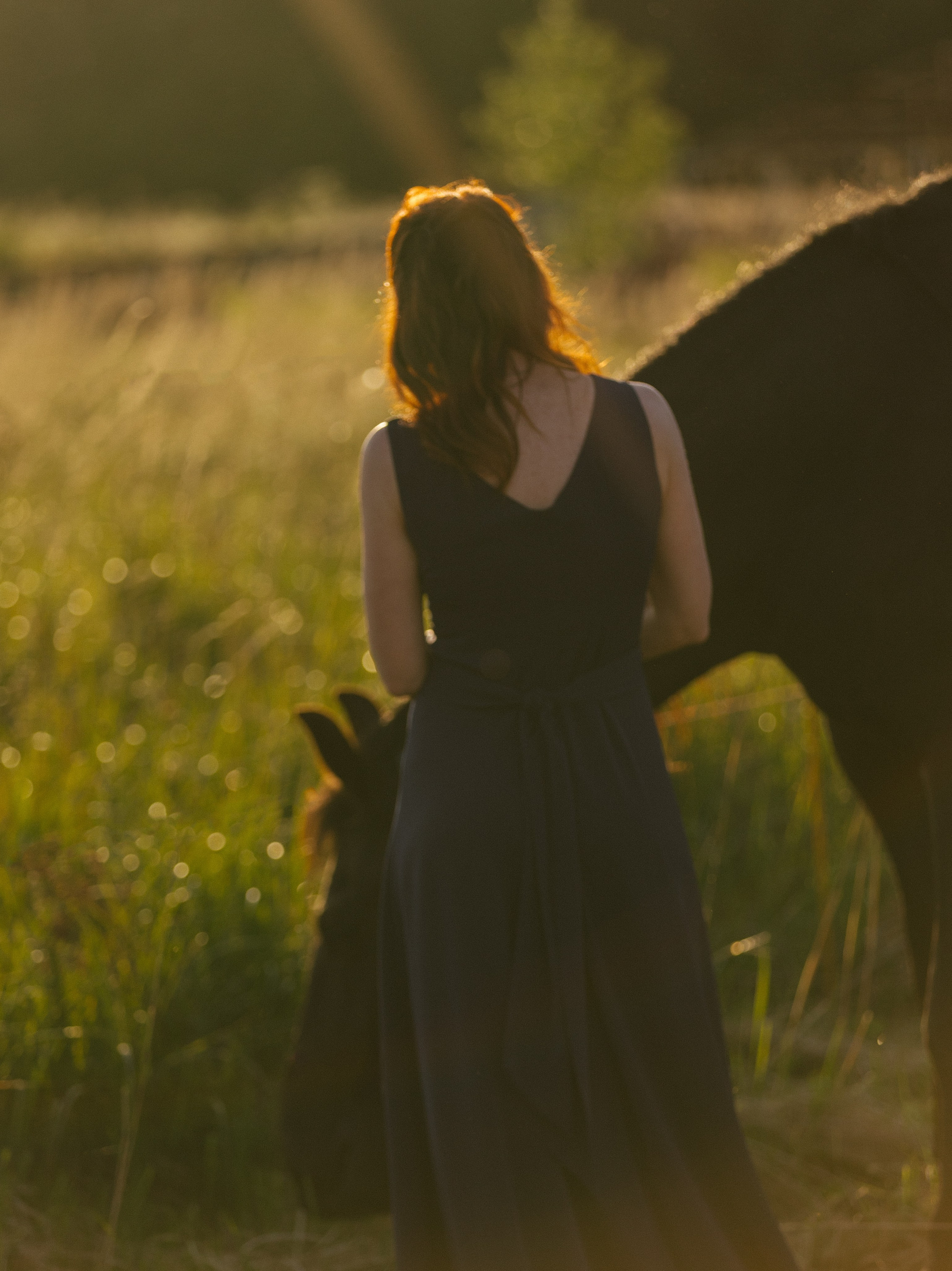 Прайс на фотосъемку с лошадьми. Конный фотограф в Калининграде Елена Курбатова