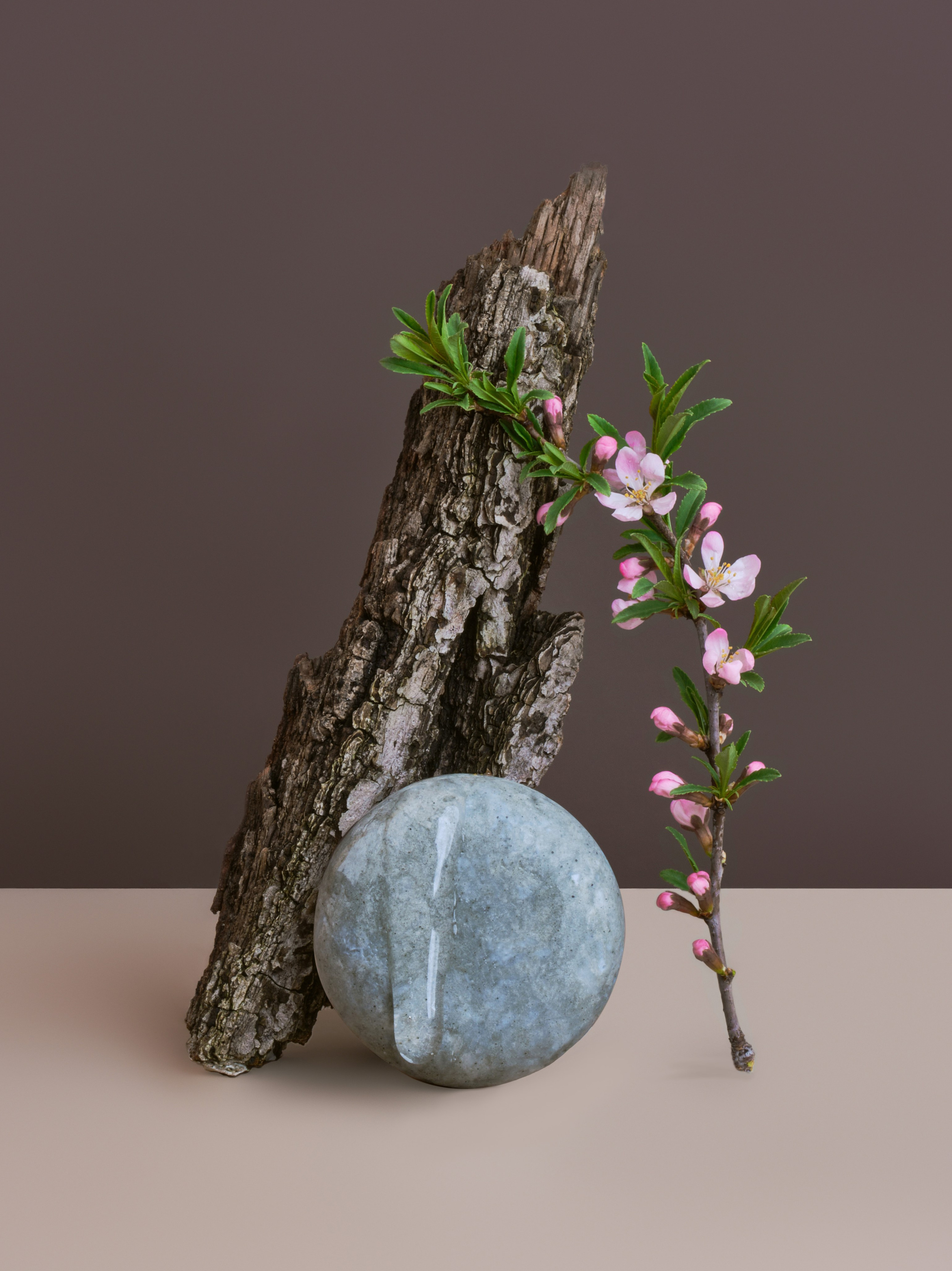 Услуги и цены. Предметный фотограф в Нижнем Новгороде Аладышкина Анастасия