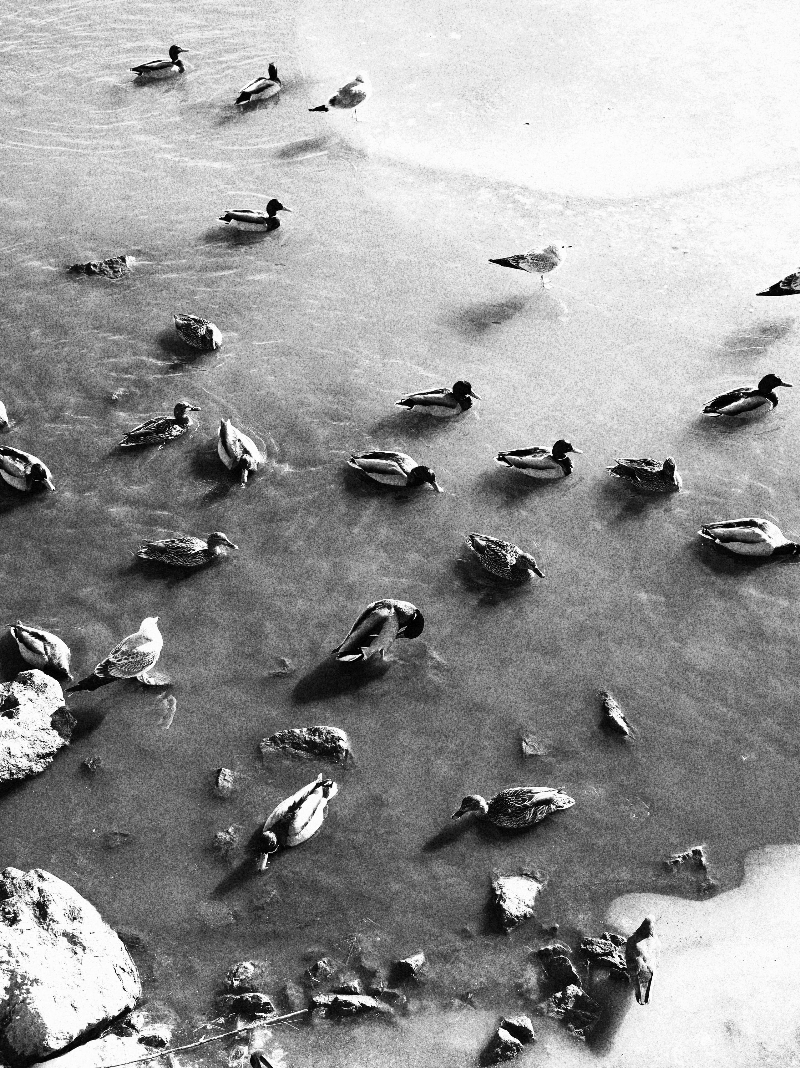 Румянцева Надежда. ARTEXPOPHOTO