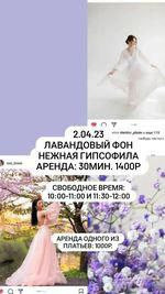 Экспресс фотосессии и фотодни в Балашихе и Железнодорожном