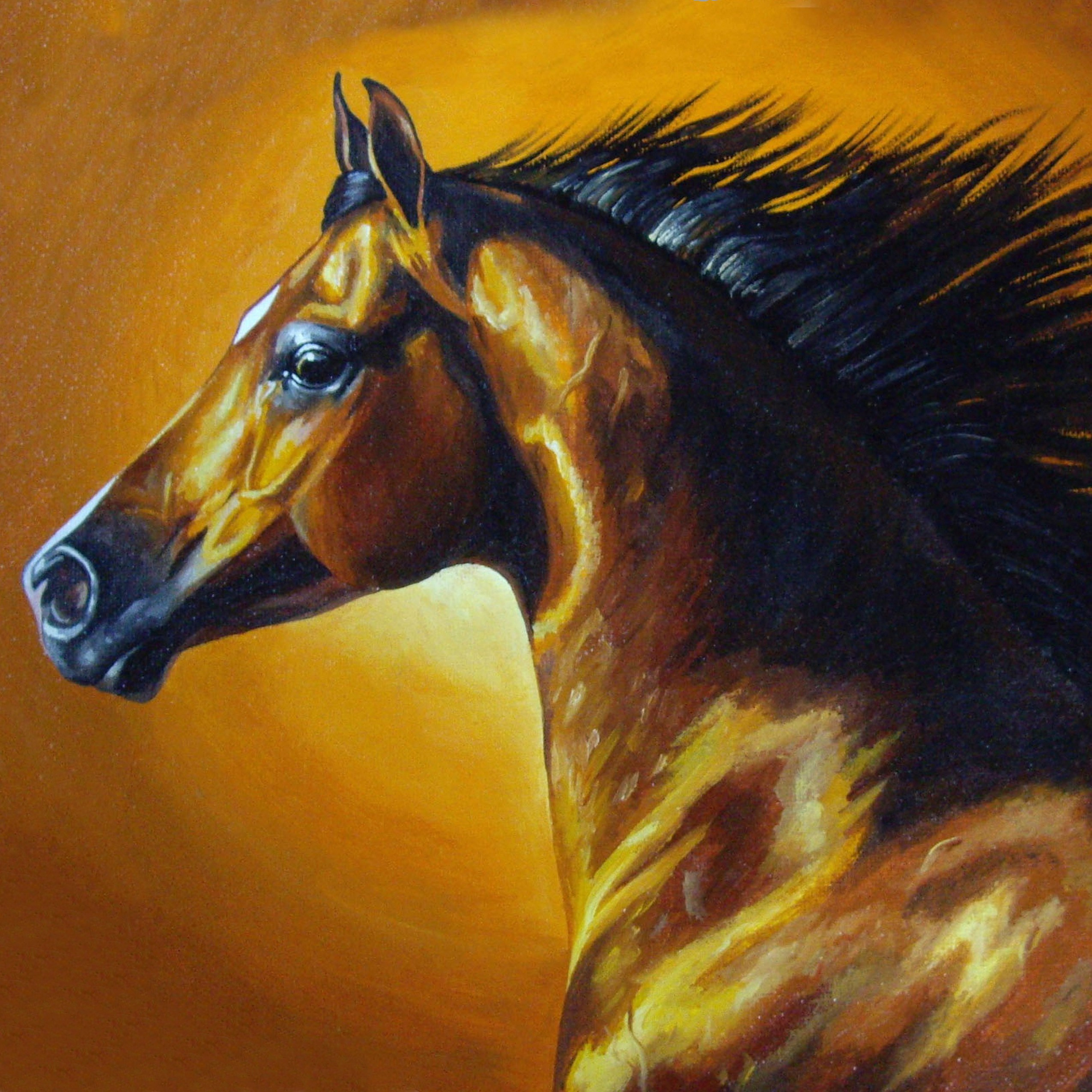 Художник-анималист в Нижнем Новгороде Надежда Шапошникова