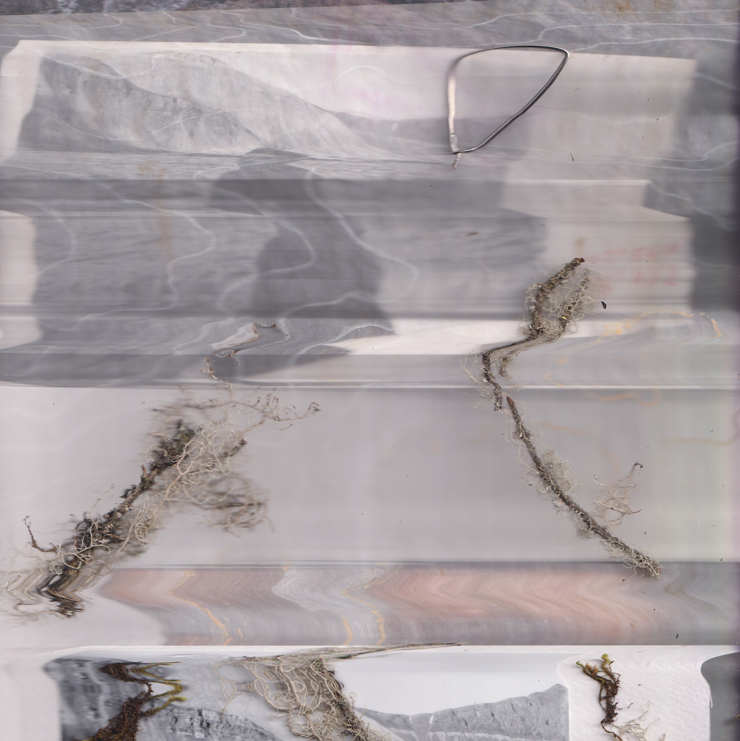 Portfolio. Xexexena.ru