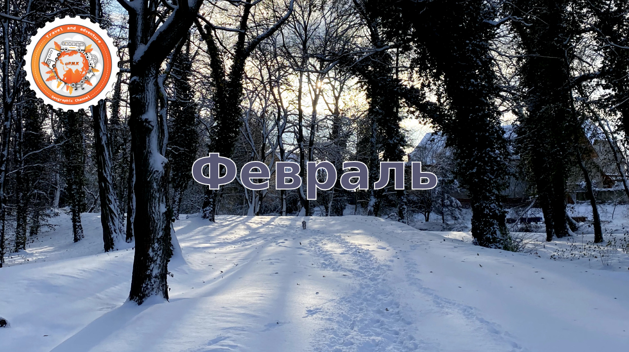 Фестивали. Своя Мастерская