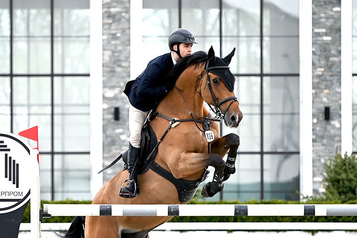 Услуги, цены, вопросы. Конный портретный фотограф Наталья Шелест