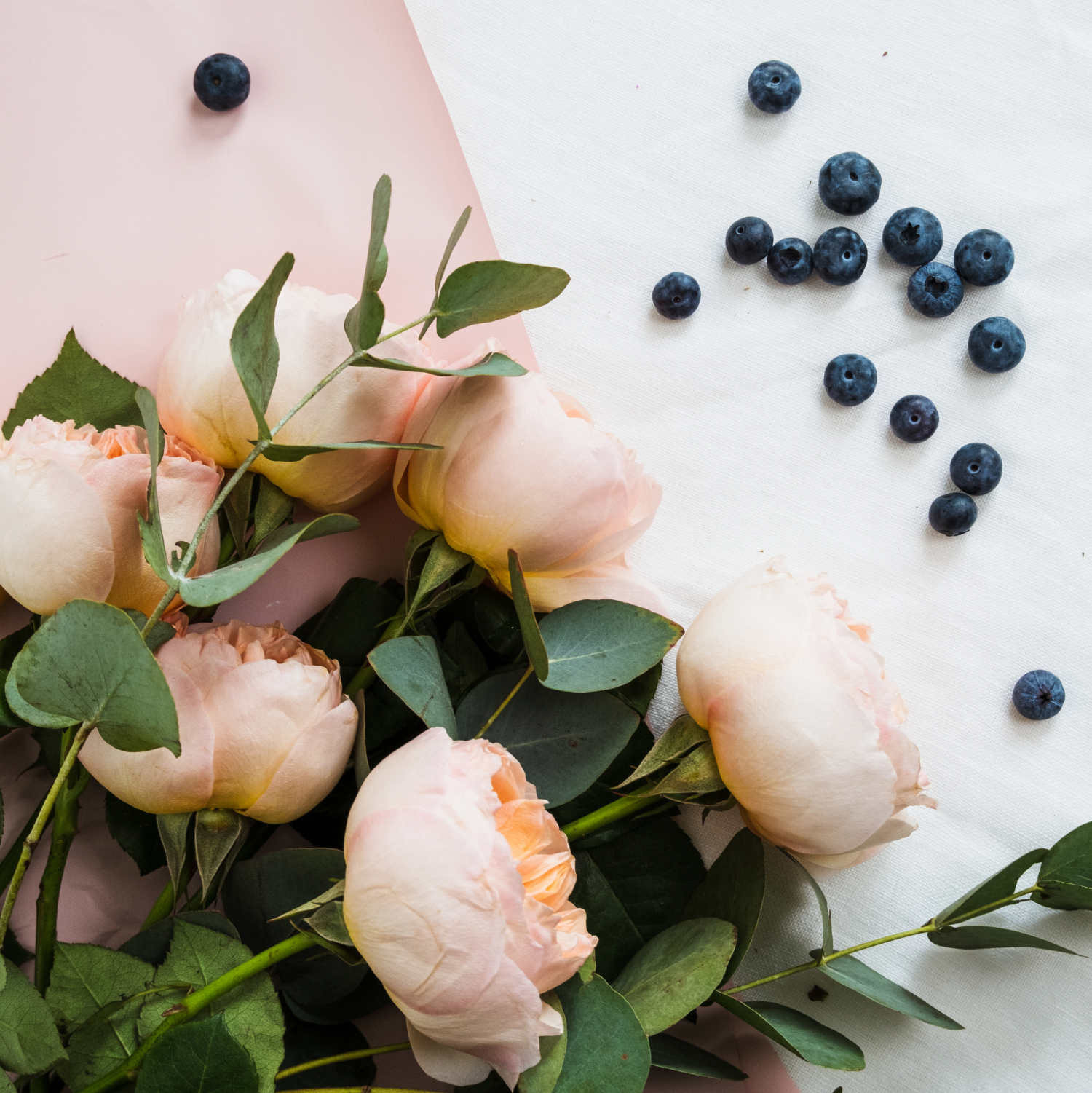 Алла Мирзаи — портретный, семейный и коммерческий фотограф в Москве