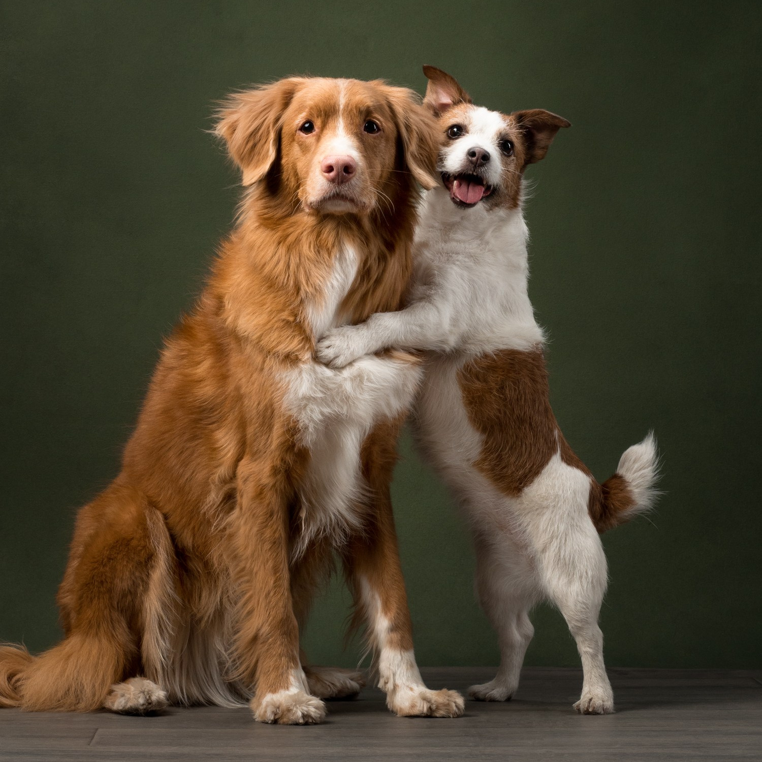 Обучение. Фотограф животных и людей в Санкт-Петербурге Дарья Быстрицкая