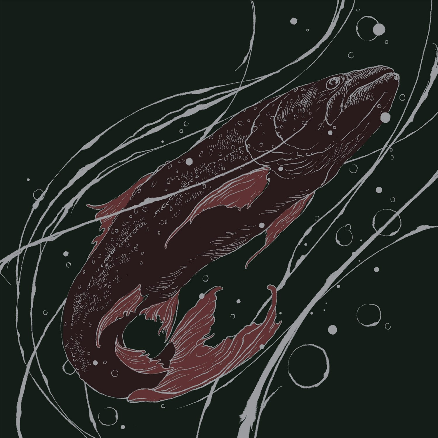 AINA — DELINNE. MUSIQUE de SIBERIE