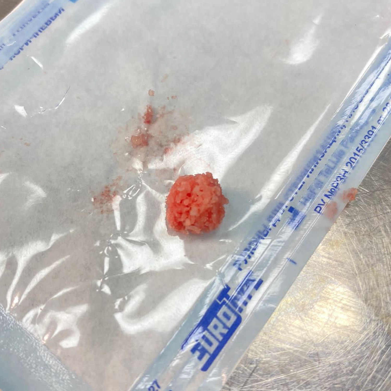 Цистотомия у животных. Ветеринарная клиника «Доктор Ай» | Королев