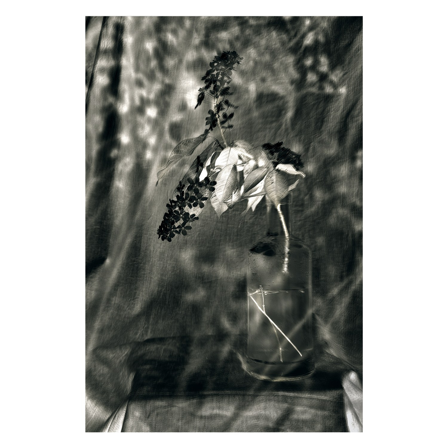 Авторские принты. Фотограф в Москве, в Самаре Инна Мамонова