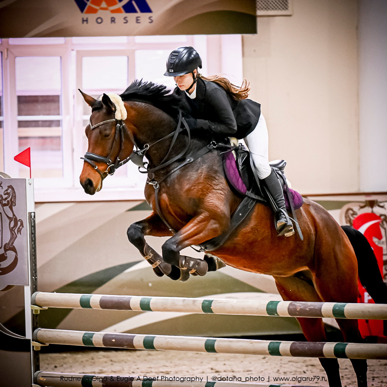 2025.10.26 — КСК Виват, Россия! конкур. ТУРНИРНАЯ КОННАЯ ФОТОГРАФИЯ, Руднева Ольга и Евгений Адеев