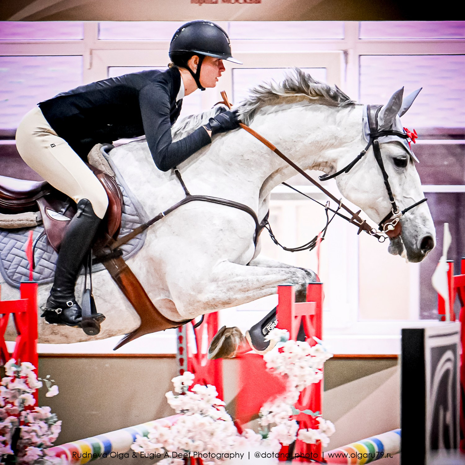 2025.10.26 — КСК Виват, Россия! конкур. ТУРНИРНАЯ КОННАЯ ФОТОГРАФИЯ, Руднева Ольга и Евгений Адеев