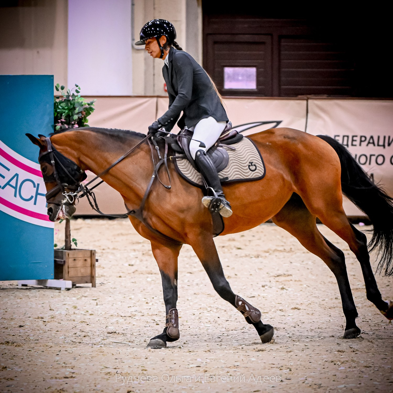 2025.10.25 — КСК Виват, Россия!. ТУРНИРНАЯ КОННАЯ ФОТОГРАФИЯ, Руднева Ольга и Евгений Адеев