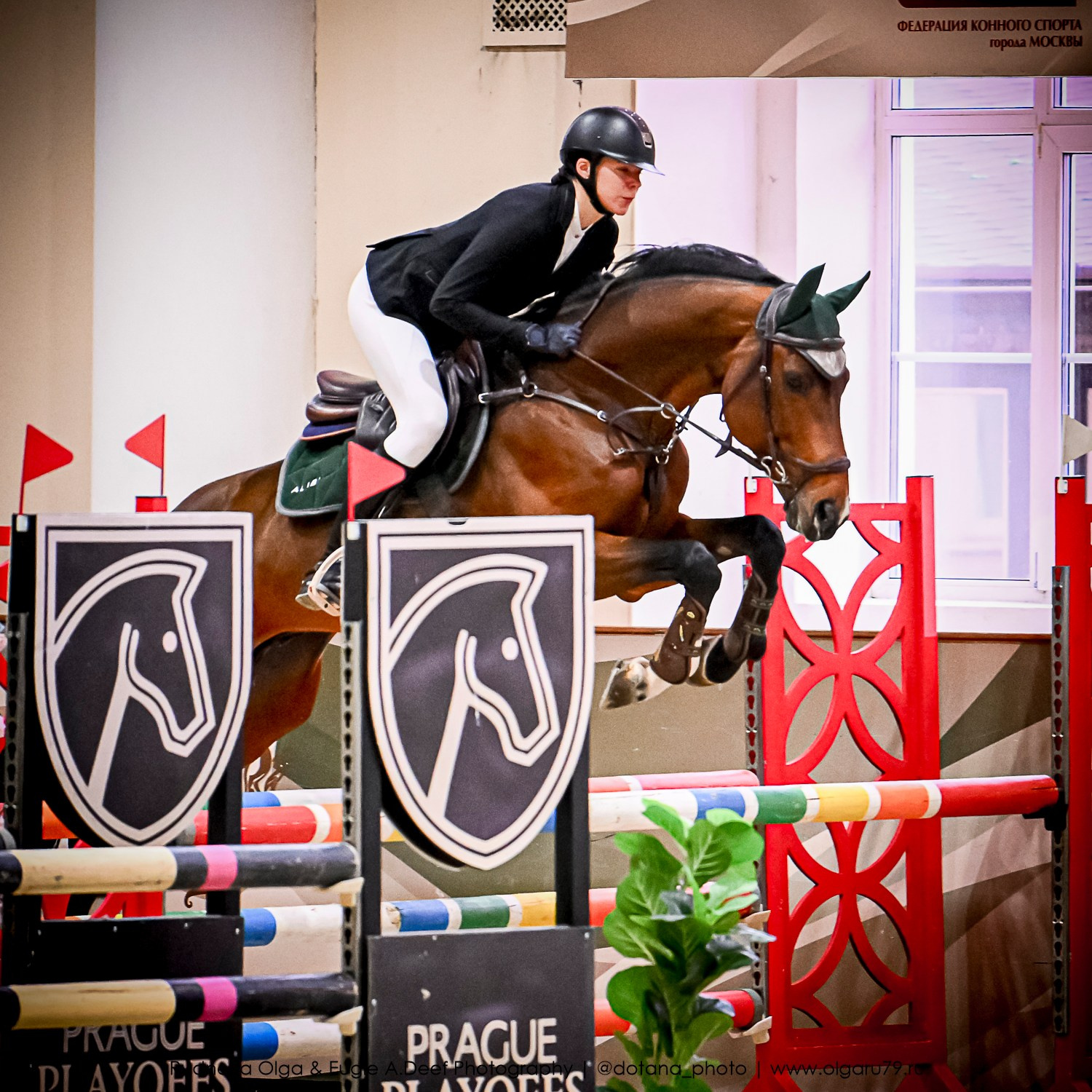 2025.10.26 — КСК Виват, Россия! конкур. ТУРНИРНАЯ КОННАЯ ФОТОГРАФИЯ, Руднева Ольга и Евгений Адеев