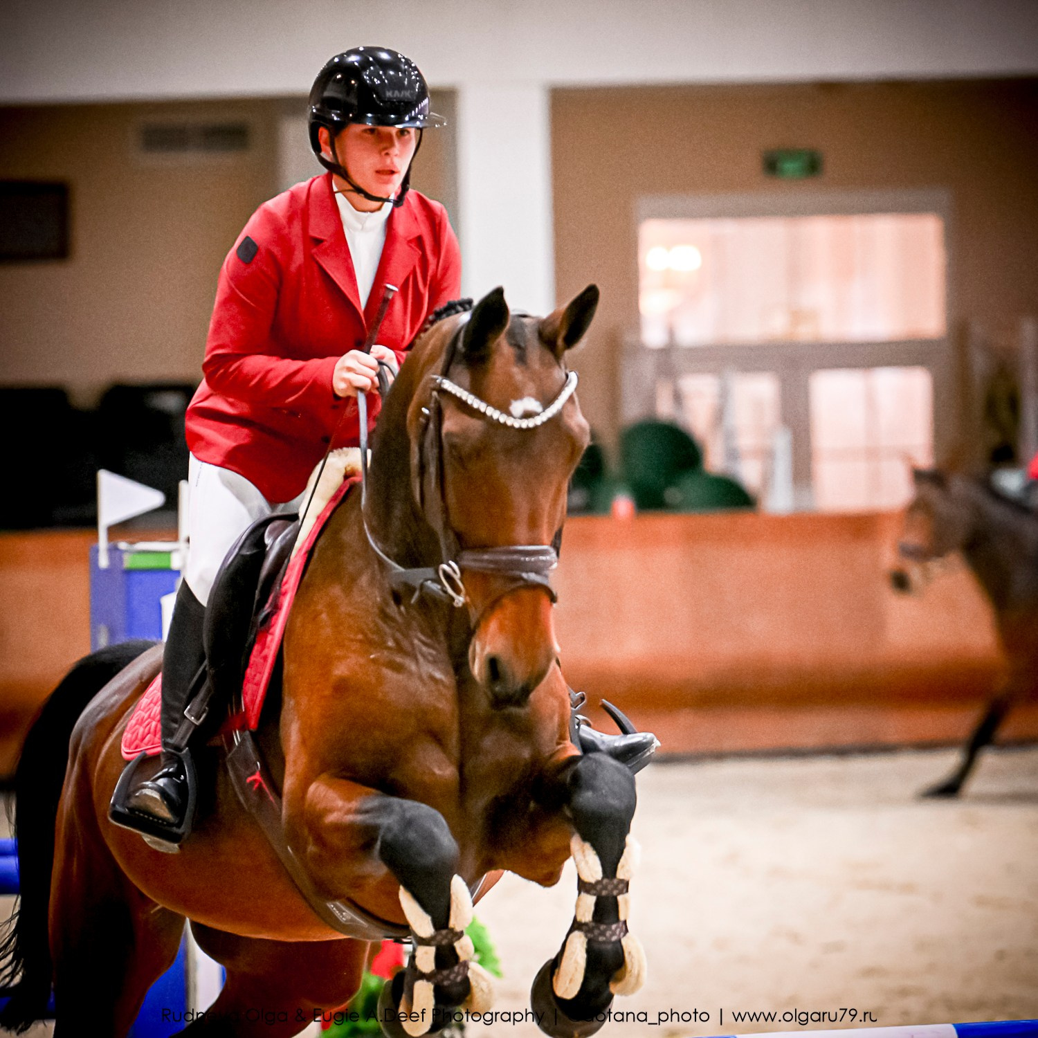 2025.10.26 — КСК Виват, Россия! конкур. ТУРНИРНАЯ КОННАЯ ФОТОГРАФИЯ, Руднева Ольга и Евгений Адеев