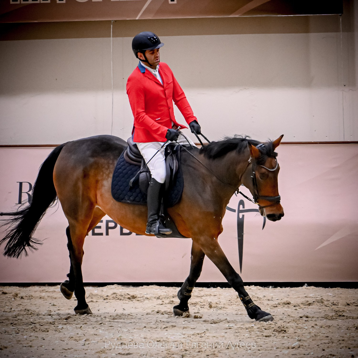 2025.10.25 — КСК Виват, Россия!. ТУРНИРНАЯ КОННАЯ ФОТОГРАФИЯ, Руднева Ольга и Евгений Адеев