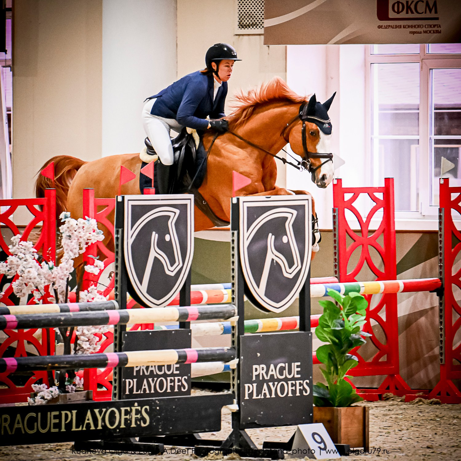 2025.10.26 — КСК Виват, Россия! конкур. ТУРНИРНАЯ КОННАЯ ФОТОГРАФИЯ, Руднева Ольга и Евгений Адеев