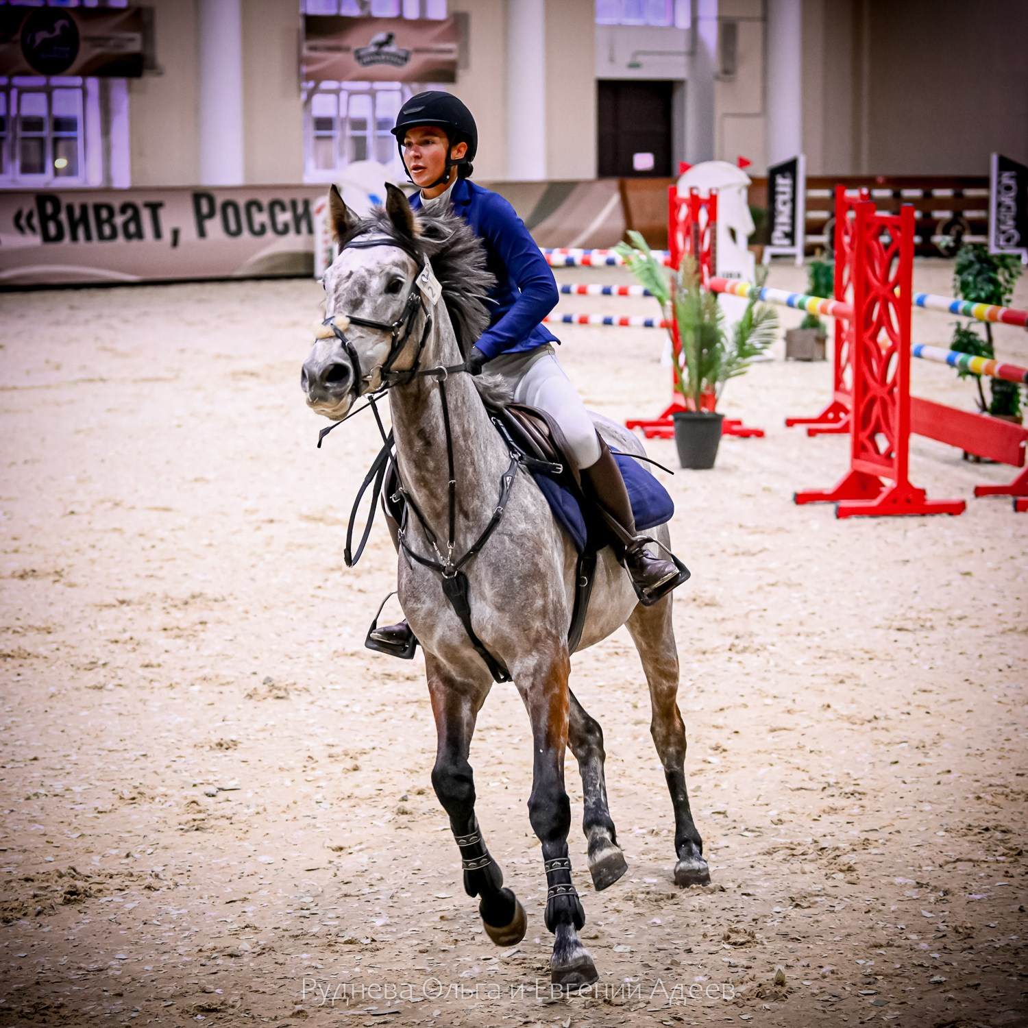 2025.10.25 — КСК Виват, Россия!. ТУРНИРНАЯ КОННАЯ ФОТОГРАФИЯ, Руднева Ольга и Евгений Адеев