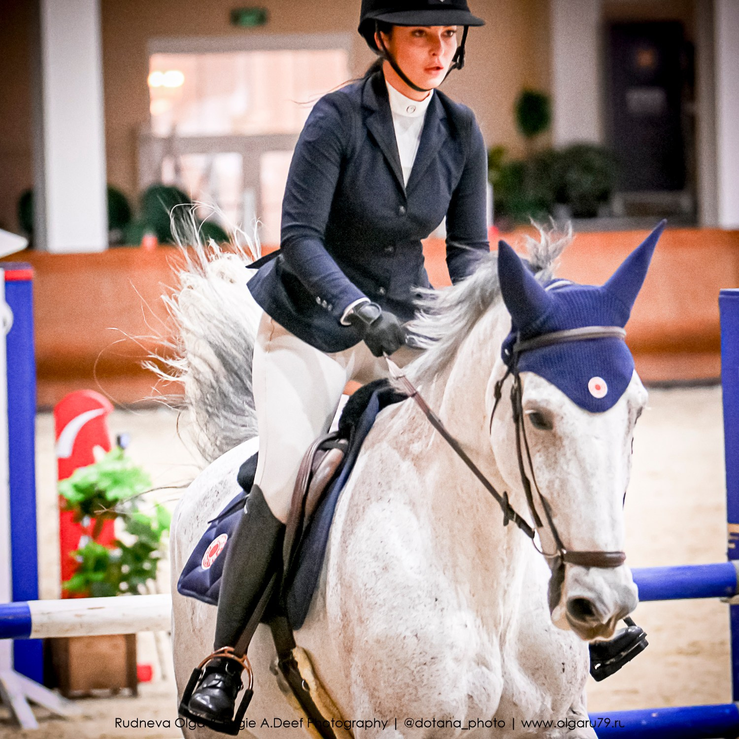 2025.10.26 — КСК Виват, Россия! конкур. ТУРНИРНАЯ КОННАЯ ФОТОГРАФИЯ, Руднева Ольга и Евгений Адеев