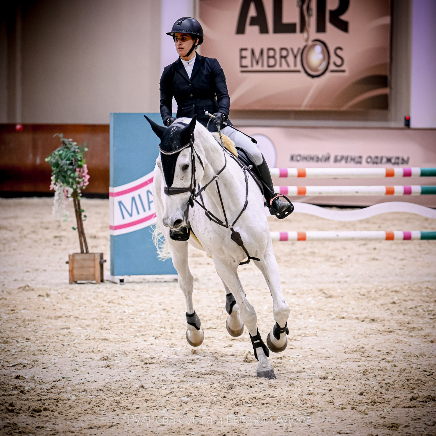 2025.10.25 — КСК Виват, Россия!. ТУРНИРНАЯ КОННАЯ ФОТОГРАФИЯ, Руднева Ольга и Евгений Адеев
