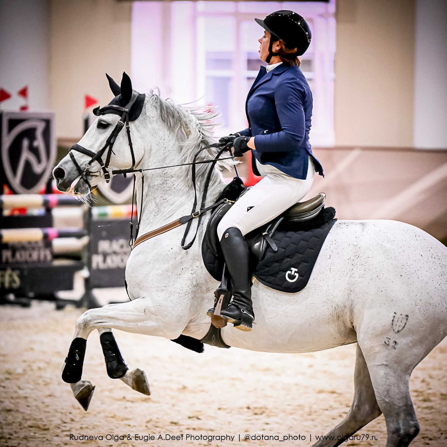 2025.10.26 — КСК Виват, Россия! конкур. ТУРНИРНАЯ КОННАЯ ФОТОГРАФИЯ, Руднева Ольга и Евгений Адеев