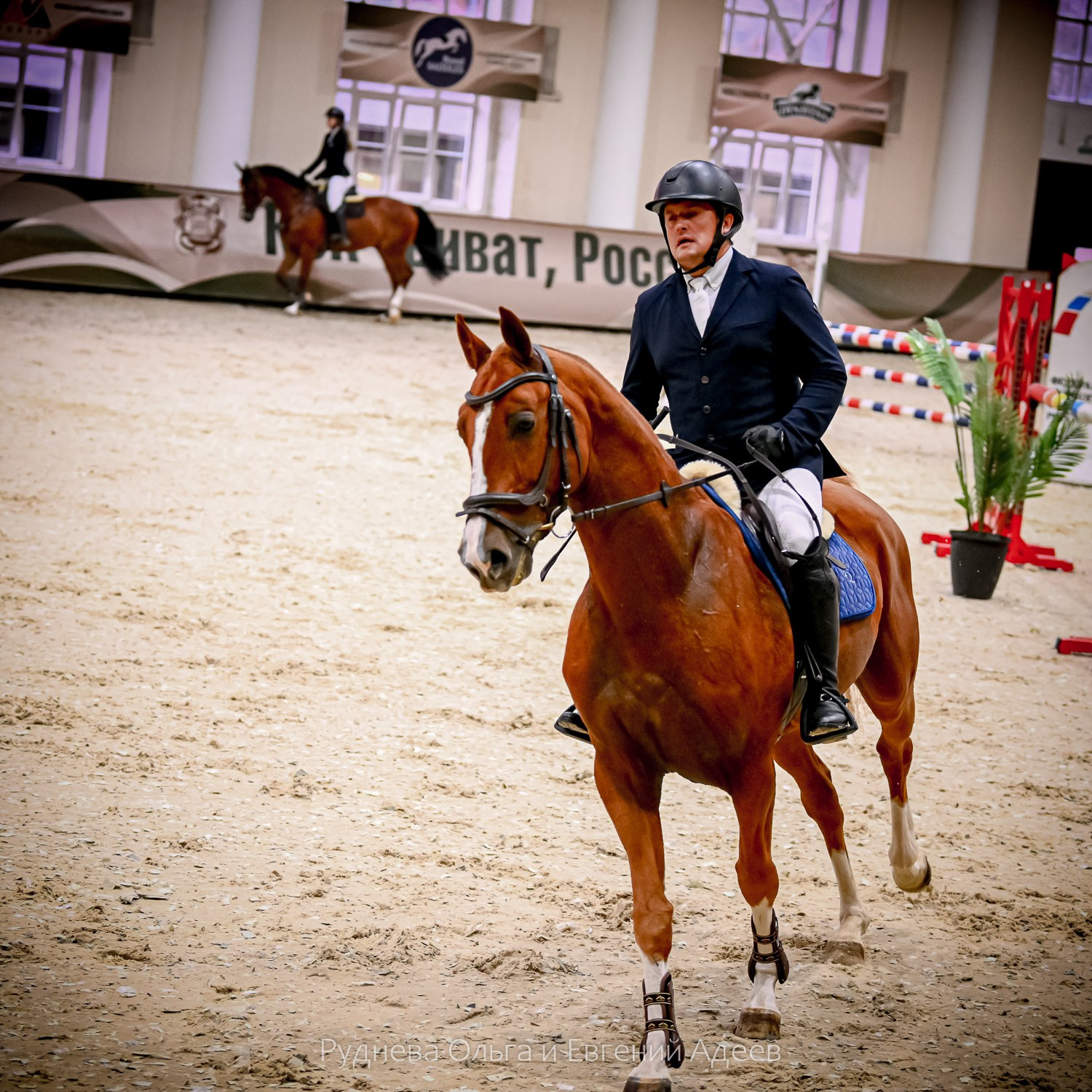 2025.10.25 — КСК Виват, Россия!. ТУРНИРНАЯ КОННАЯ ФОТОГРАФИЯ, Руднева Ольга и Евгений Адеев
