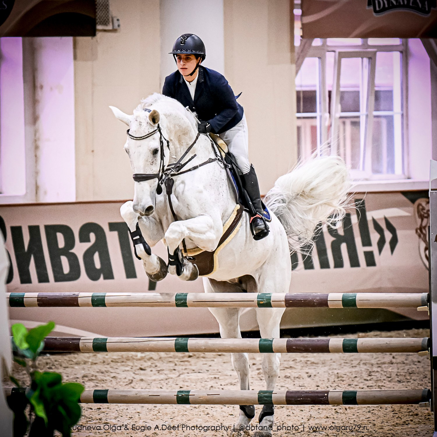 2025.10.26 — КСК Виват, Россия! конкур. ТУРНИРНАЯ КОННАЯ ФОТОГРАФИЯ, Руднева Ольга и Евгений Адеев