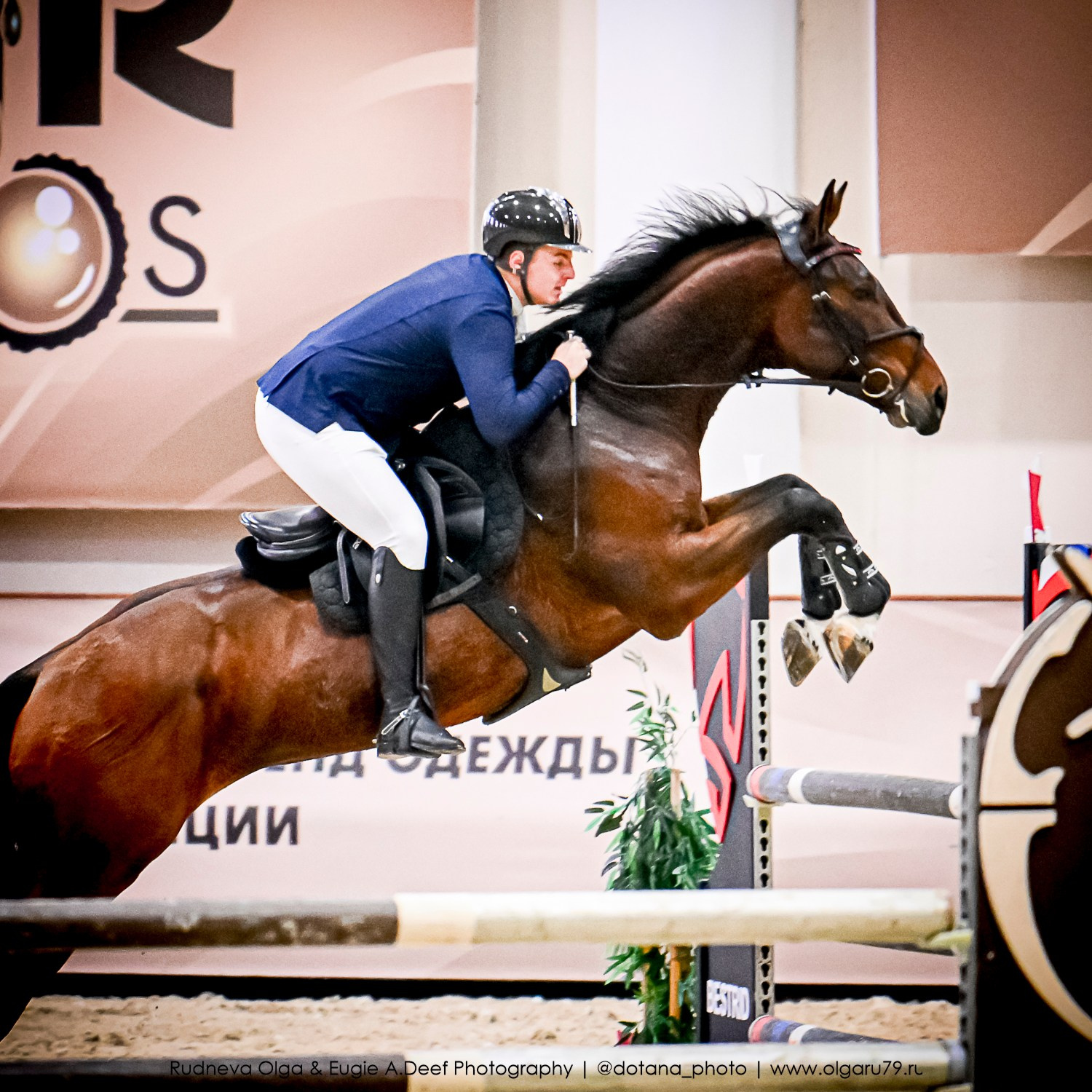 2025.10.26 — КСК Виват, Россия! конкур. ТУРНИРНАЯ КОННАЯ ФОТОГРАФИЯ, Руднева Ольга и Евгений Адеев