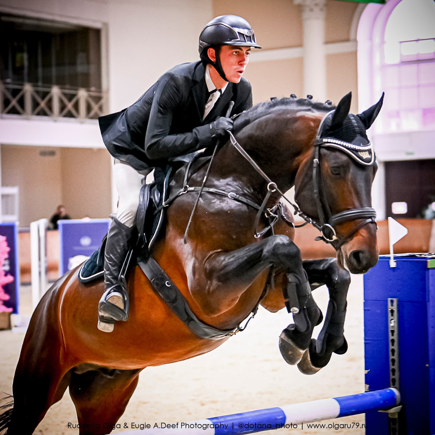 2025.10.26 — КСК Виват, Россия! конкур. ТУРНИРНАЯ КОННАЯ ФОТОГРАФИЯ, Руднева Ольга и Евгений Адеев