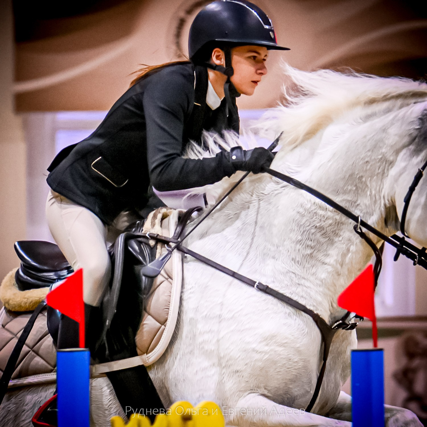 2025.10.25 — КСК Виват, Россия!. ТУРНИРНАЯ КОННАЯ ФОТОГРАФИЯ, Руднева Ольга и Евгений Адеев