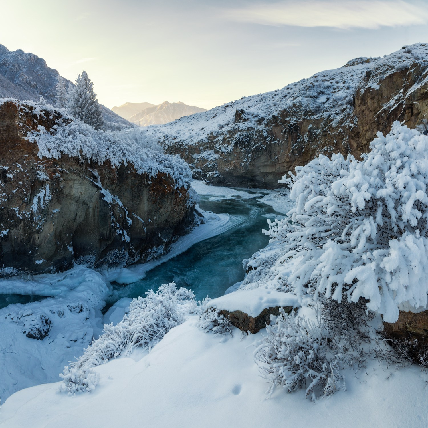 Фототур по зимнему Алтаю «Вдогонку лебединым песням». Профессиональный пейзажный фотограф Алёна Рубан