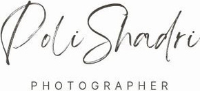 pshadri.wfolio.pro
