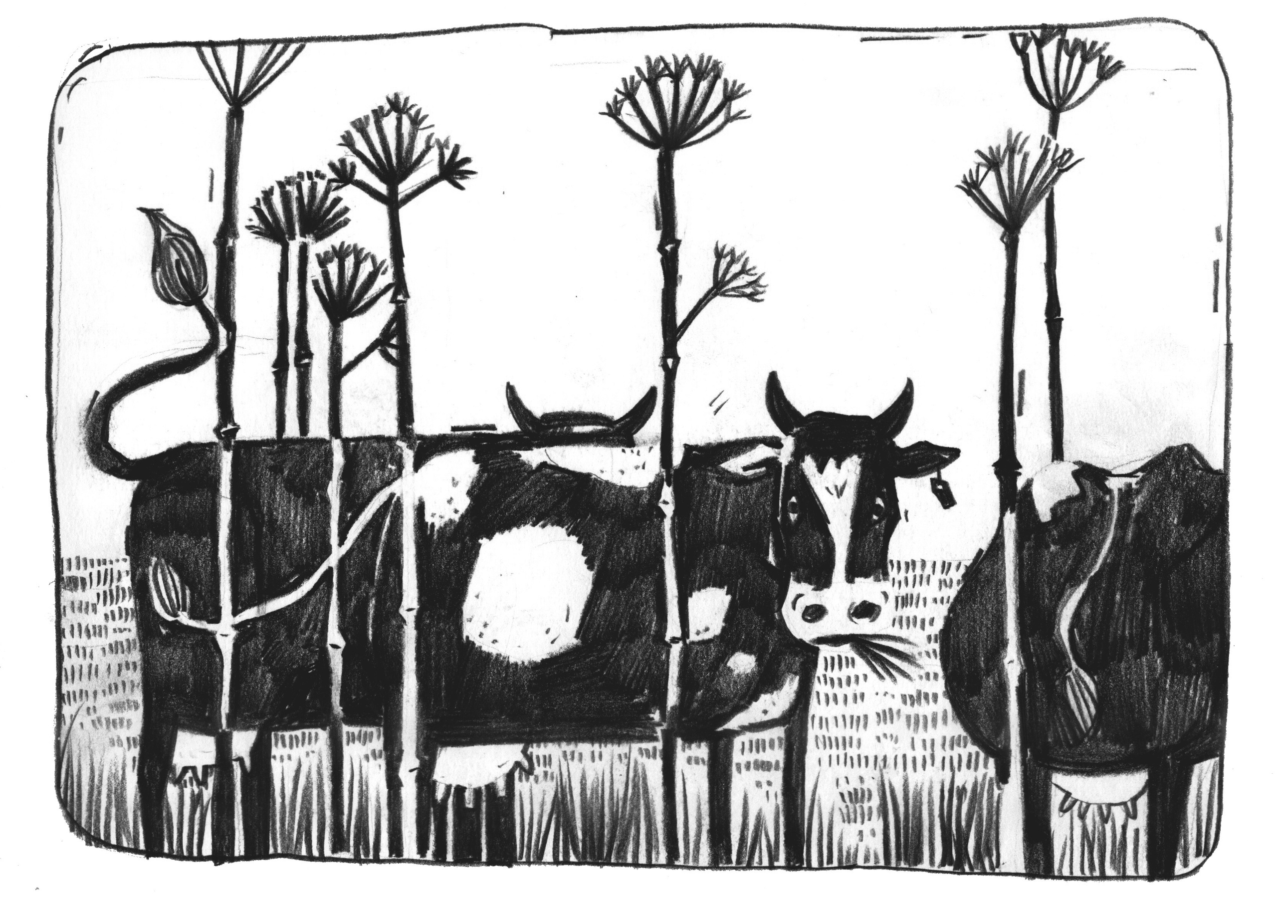 Серия Сахалинские наброски. Художник Рыбак Николай