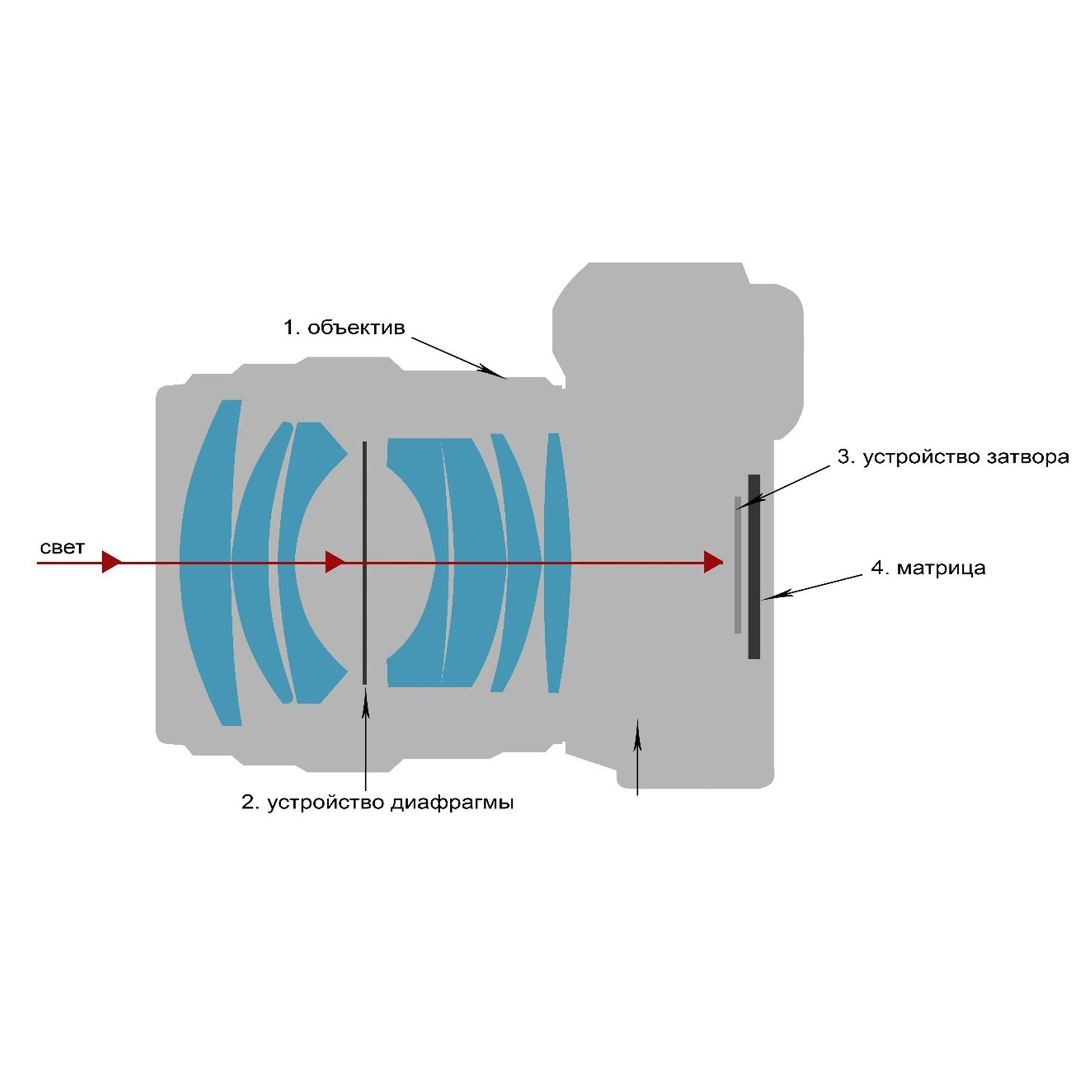 Фотошкола FOTOFQSKOOL: очное и онлайн обучение для всех уровней. FOTOFAQ SKOOL г. Санкт-Петербург: очные, дистанционные и онлайн курсы фотографии