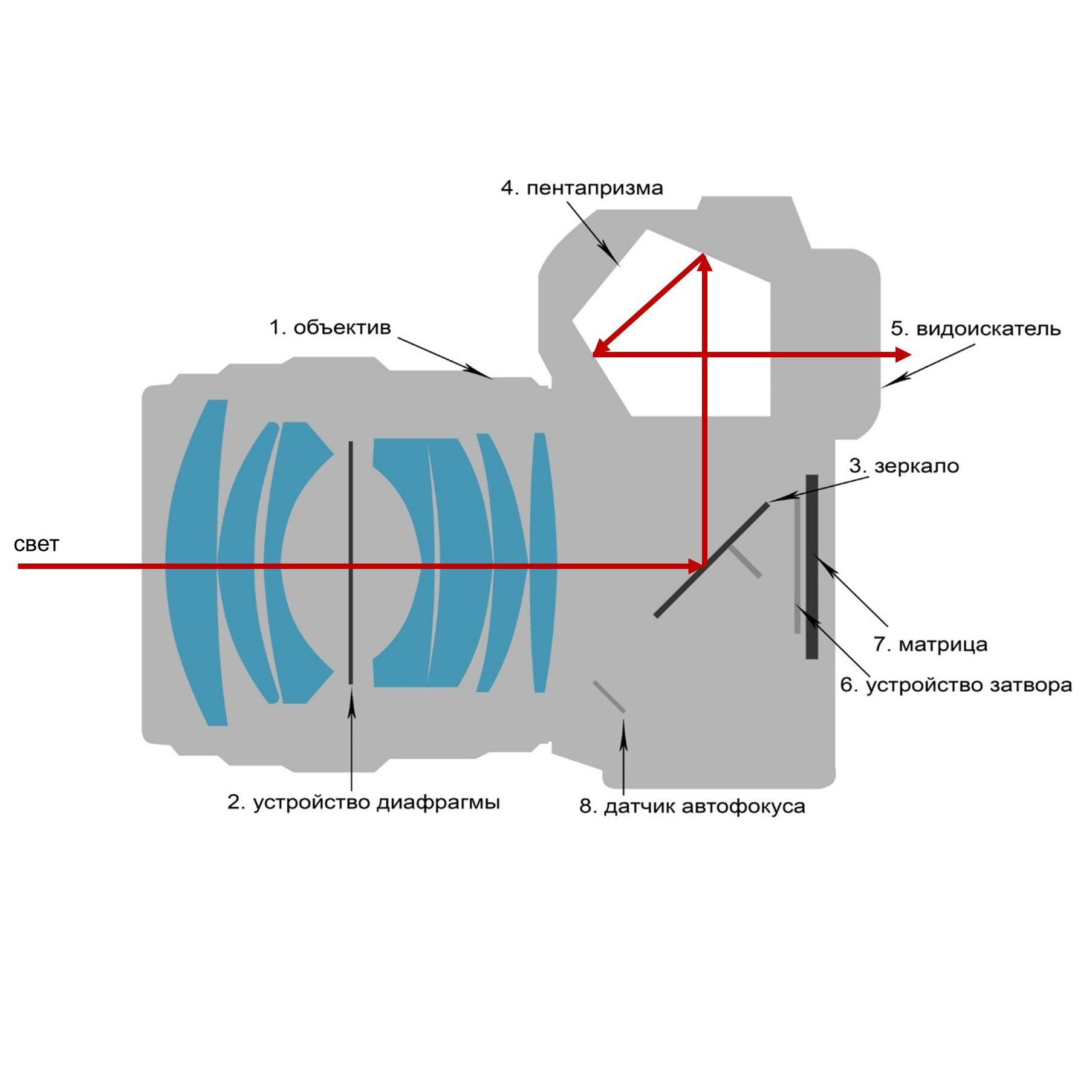 Фотошкола FOTOFQSKOOL: очное и онлайн обучение для всех уровней. FOTOFAQ SKOOL г. Санкт-Петербург: очные, дистанционные и онлайн курсы фотографии