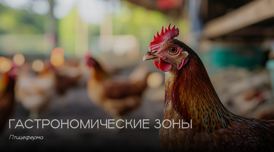 Лавандовая долина