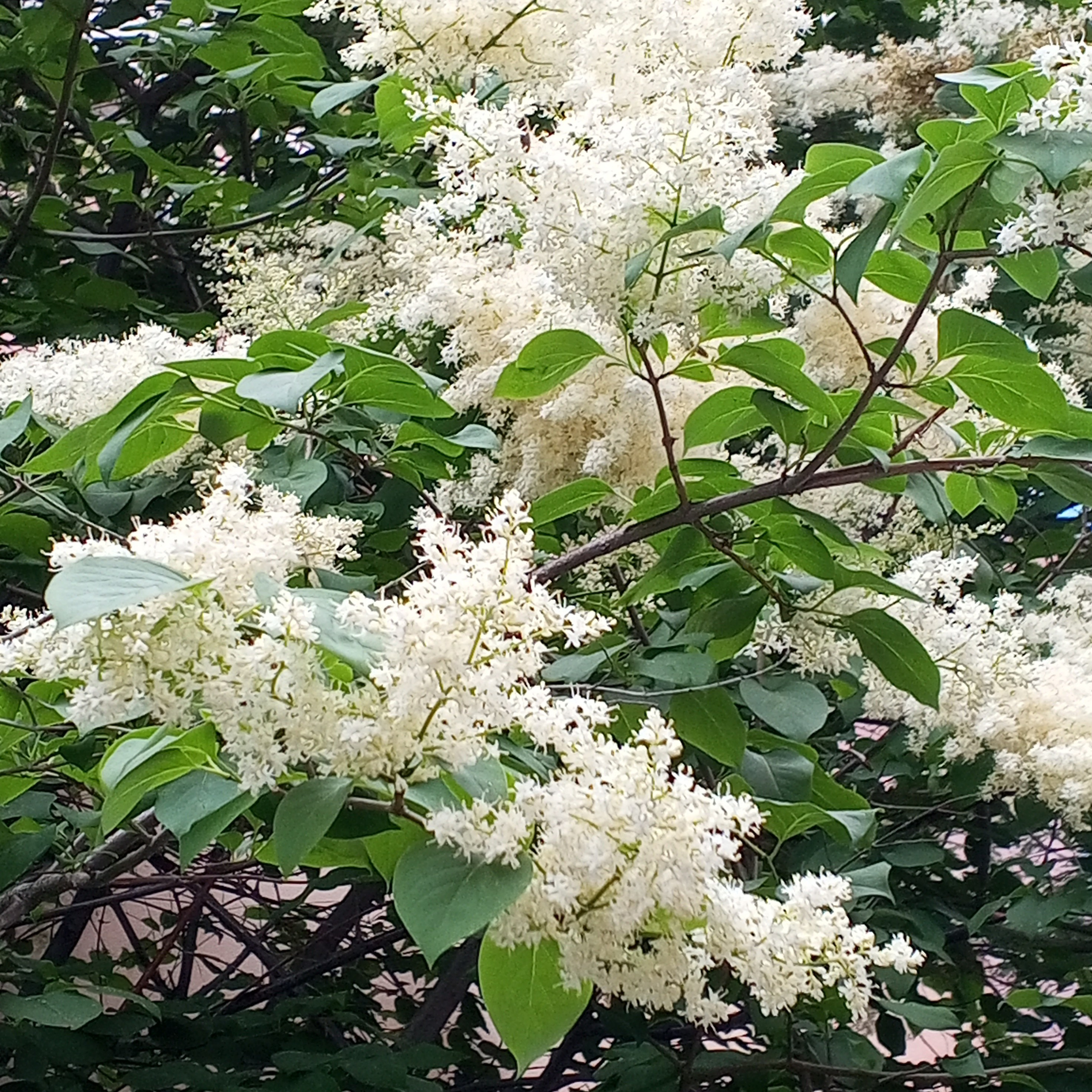 Быть вместе или врозь. Психолог, онкопсихолог Маргарита Кукина. Работаю онлайн и офлайн