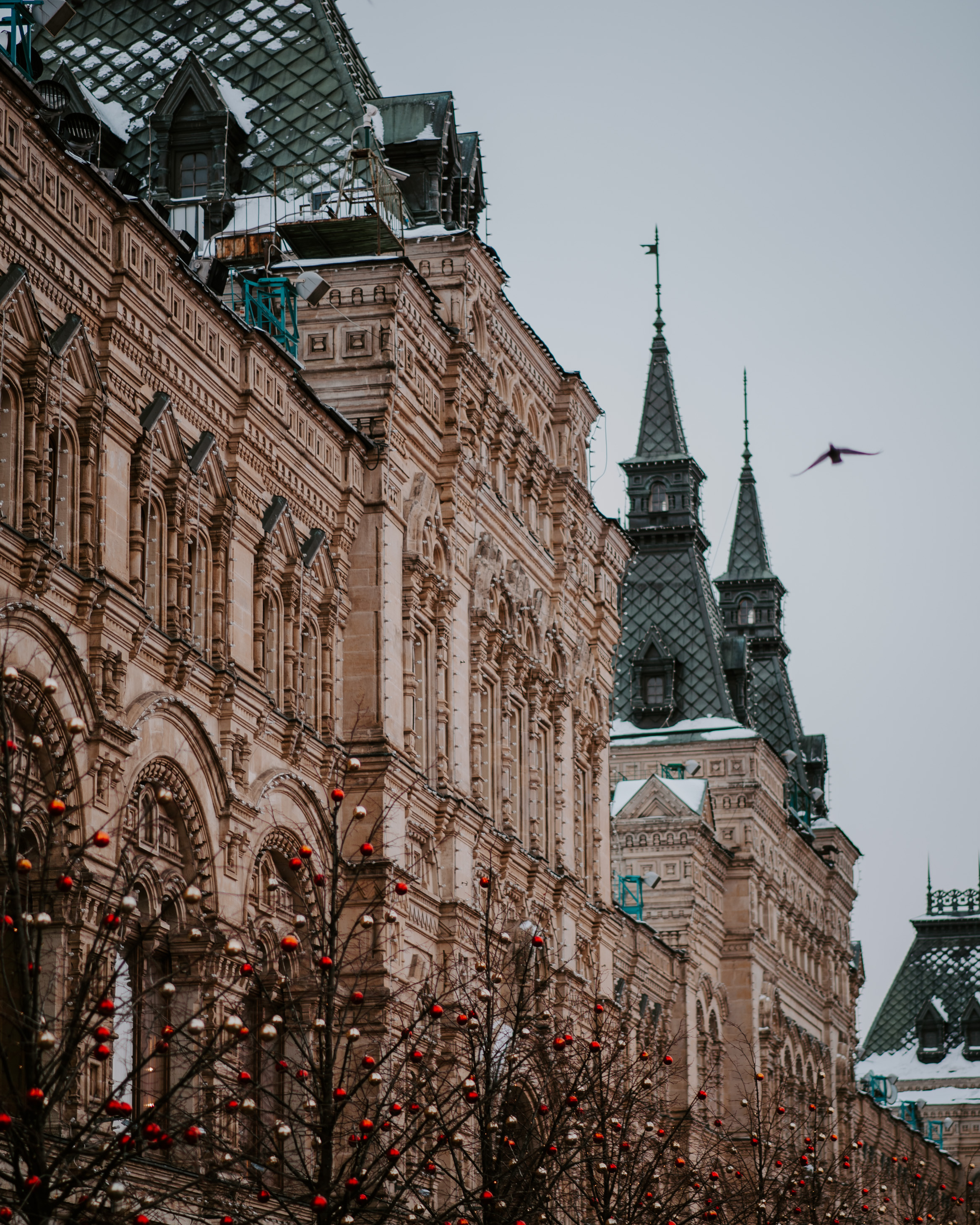 Новогодние фотосессии. Свадебный, репортажный и семейный фотограф в Москве Арина Зак