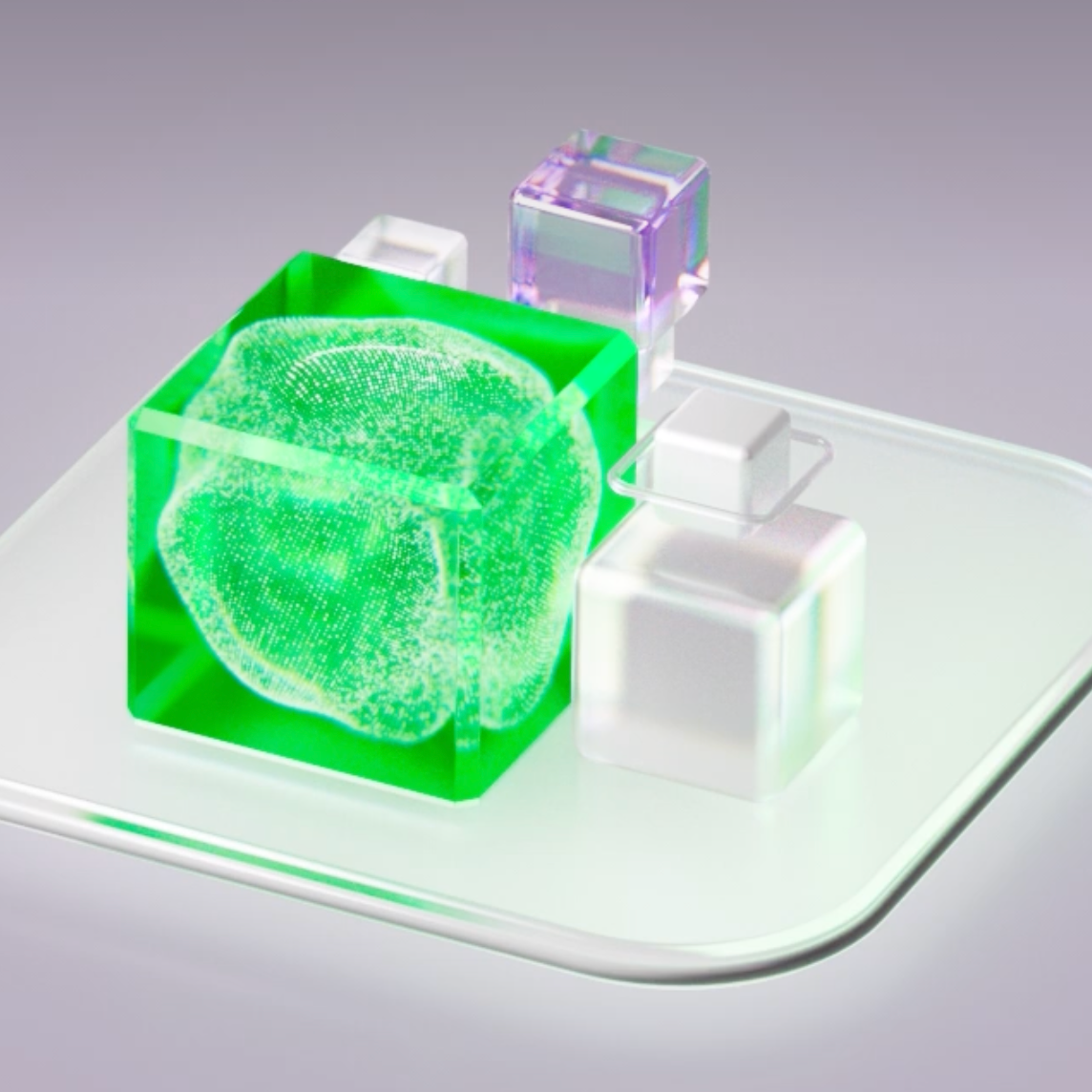 Арт-директор Токарева Дарья